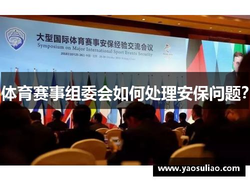 体育赛事组委会如何处理安保问题？